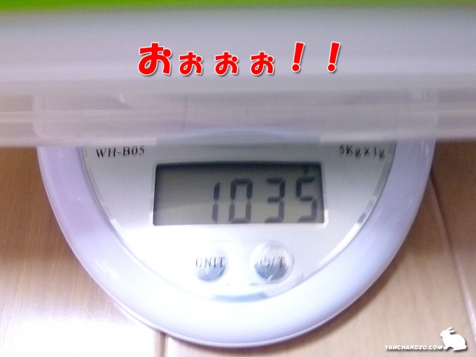トフィの体重