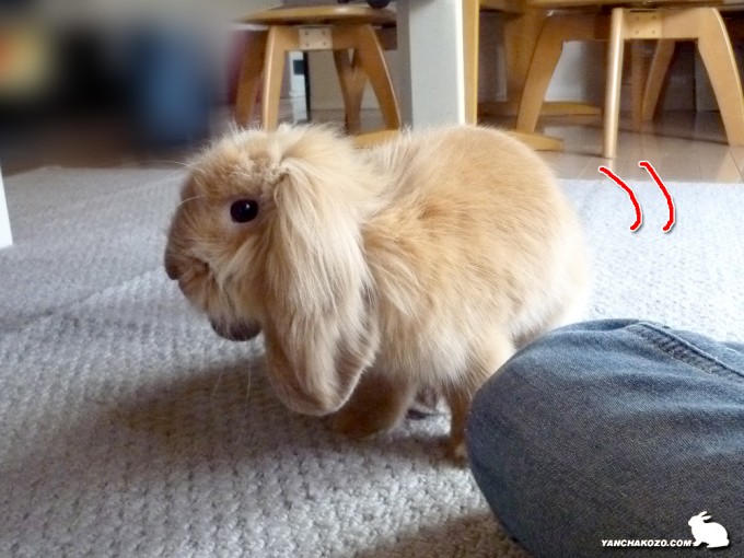 キタキタ～！！