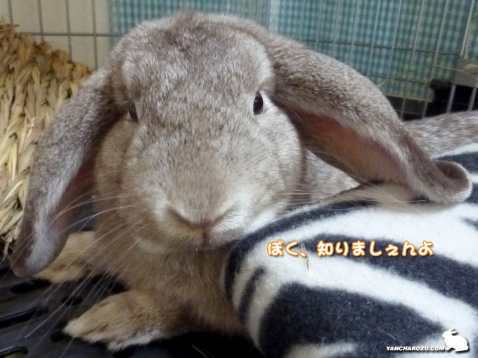 散らかっているのが証拠