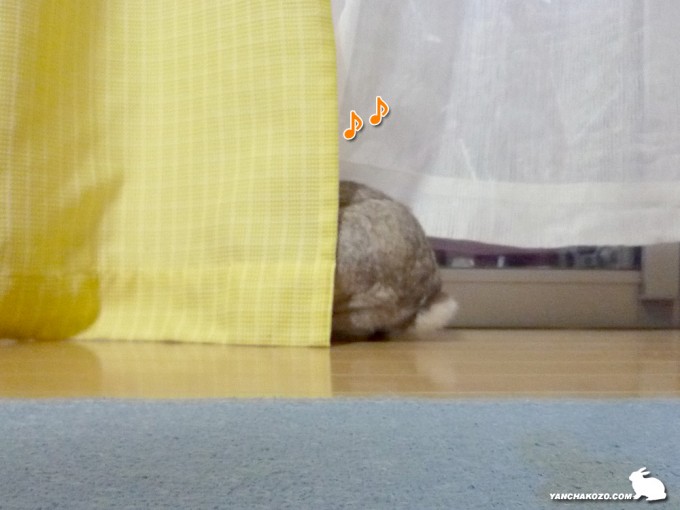 潜るでしゅ