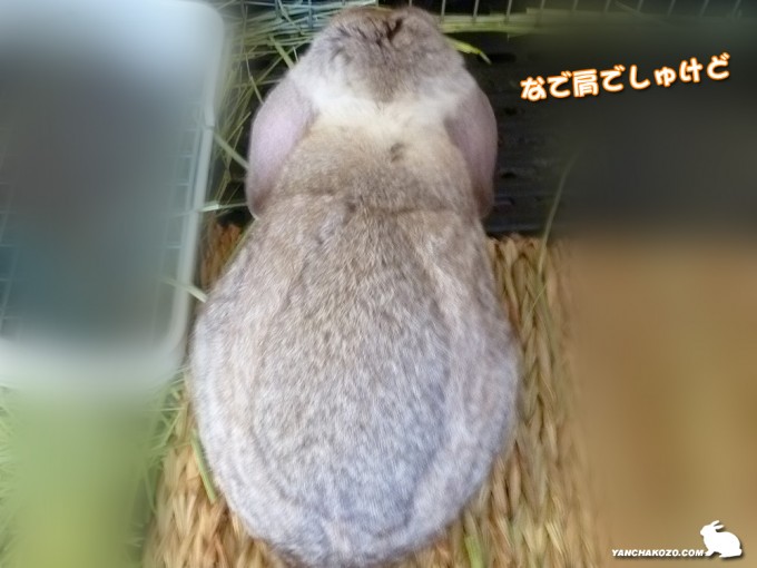 リュック背負って