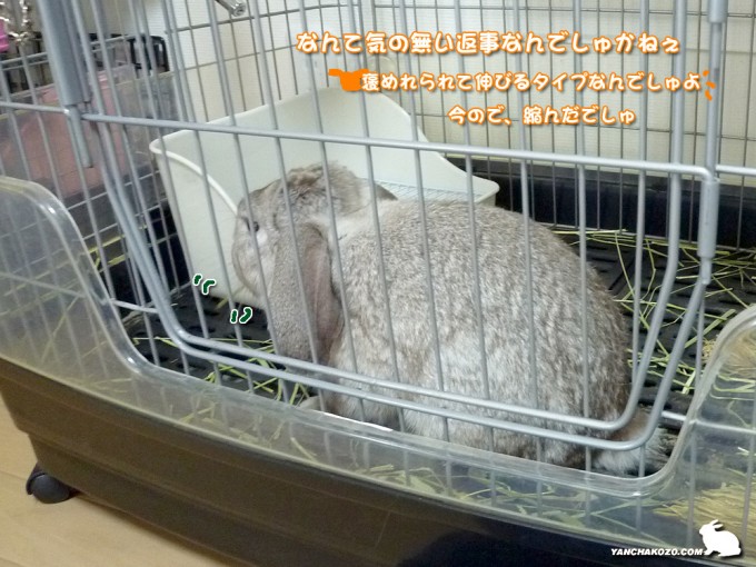 縮んだ