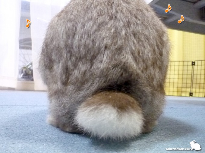 たるちのおケツ