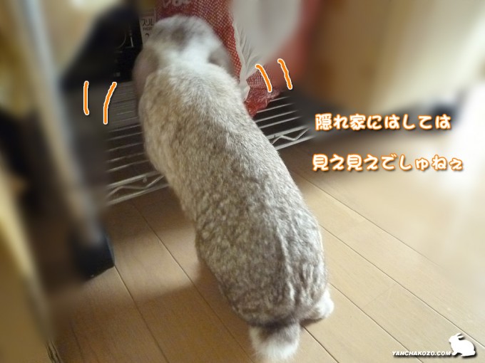 見え見えでしゅ