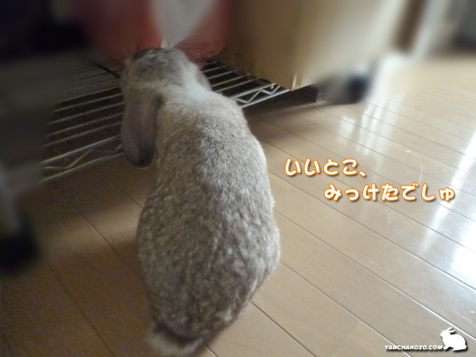 見つけた!