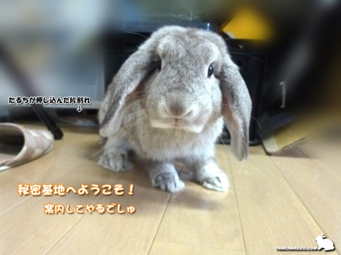 キッチンの秘密基地