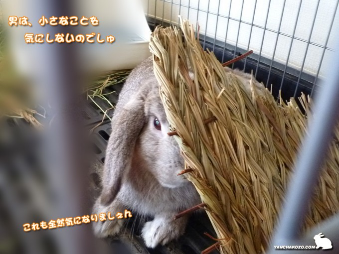 気にしないたるち