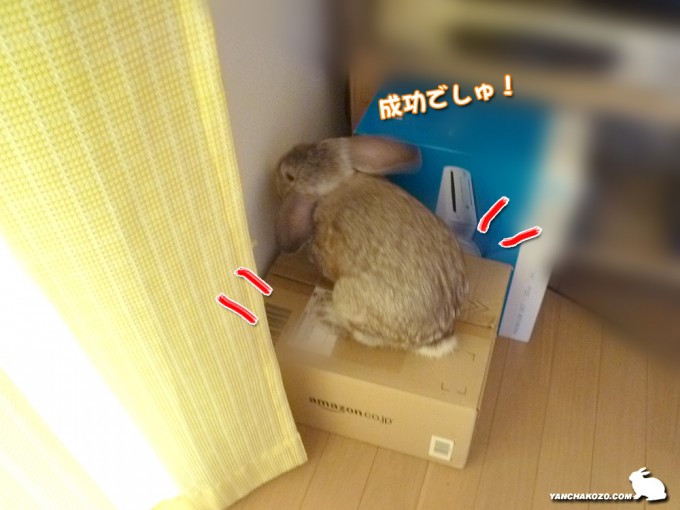 跳び乗った