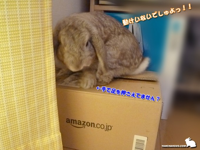 動けないっ！