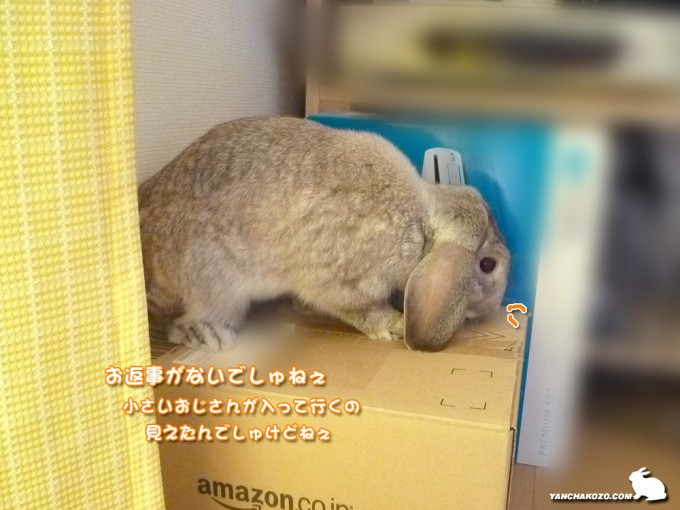 覗くたるち