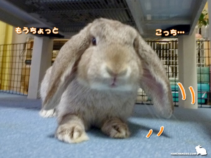 ちょっと寄れば…