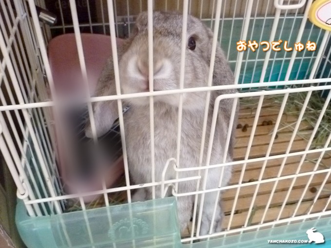 おやつでしゅね