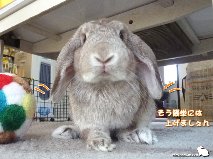 見せましぇん！