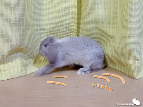 たるち、滑る！