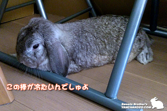 椅子の下