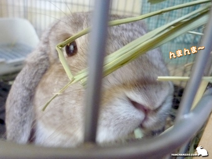 んまんま～