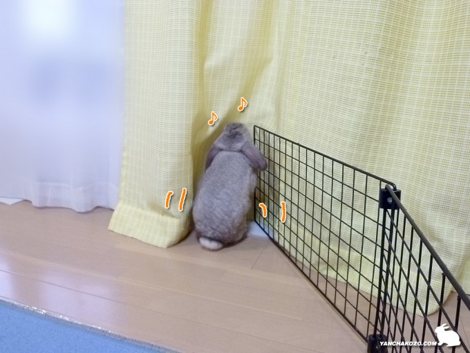 ご機嫌で悪戯