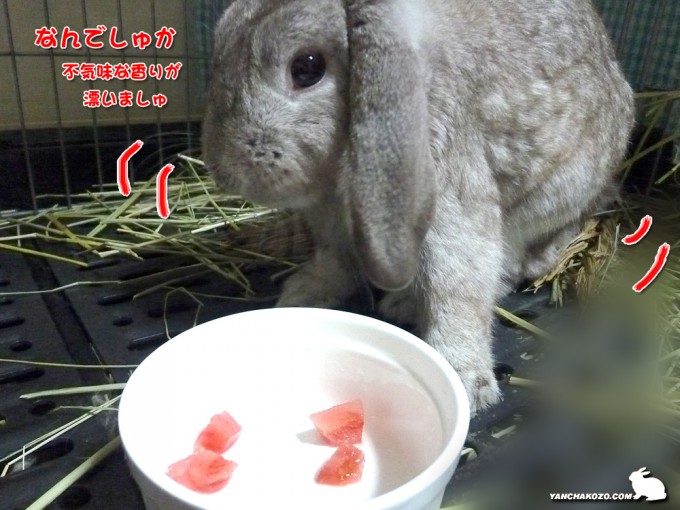 身体が拒否反応