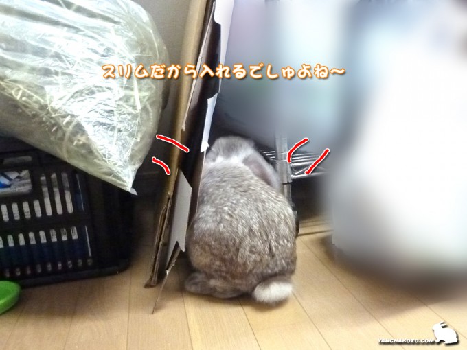 スリムだから
