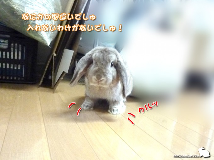 間違いでしゅ