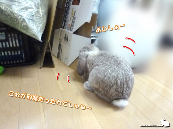 引っ張り出す