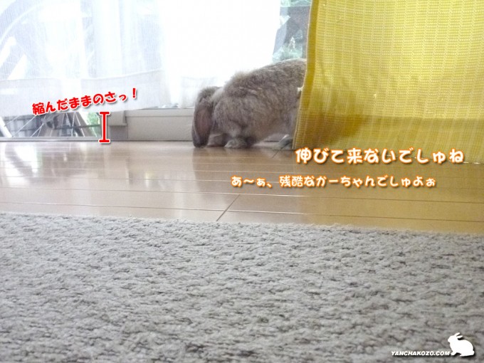 伸びて来ない