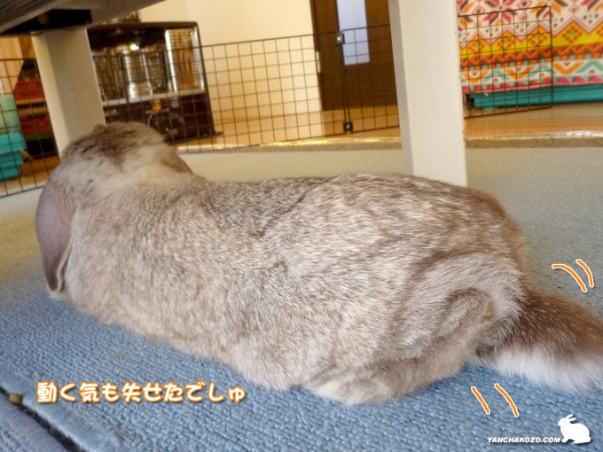 やる気も失せた
