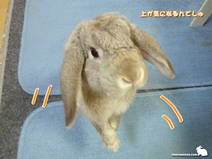 上が気になる