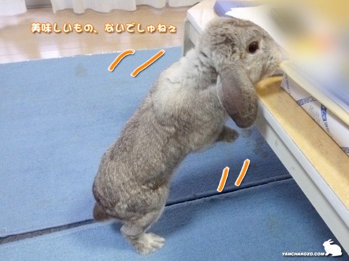 テーブルの上が…