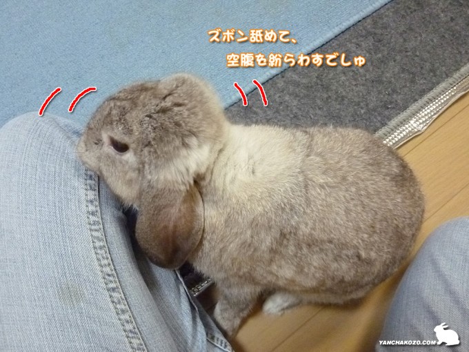舐めて空腹を満たす