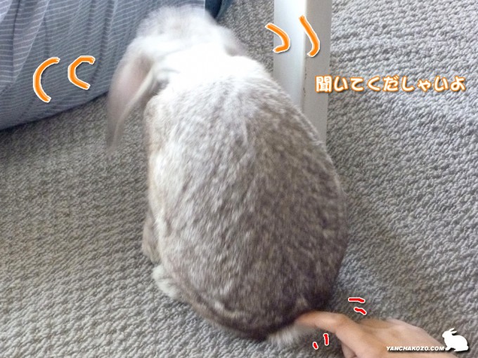 聞いてくだしゃいよ