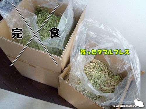 シングルプレス終了！