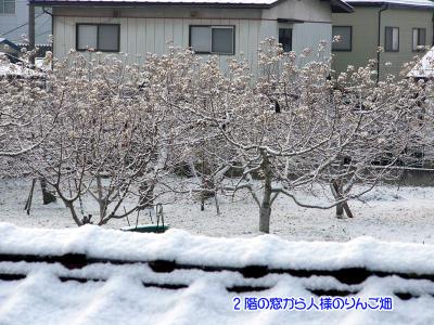 雪積もった02