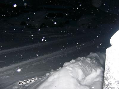 雪やこんこん♪