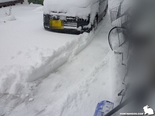 車を掘り出せ
