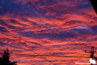 真っ赤な雲