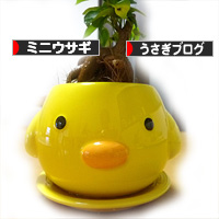 ブログ村　みにうさぎ