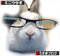ブログ村　みにうさぎ